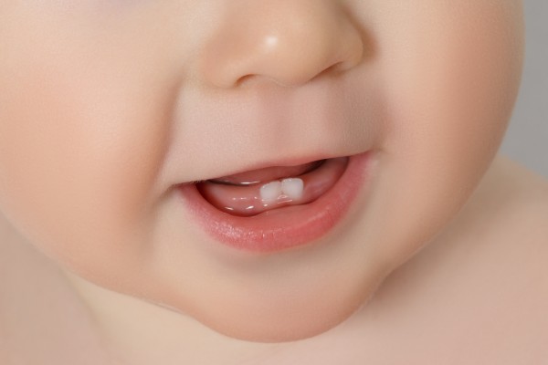 Closeup Of A Baby Teeth