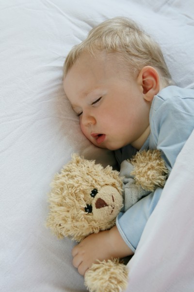 18 months old baby boy slepping in bed with sweet teddy bear. Li