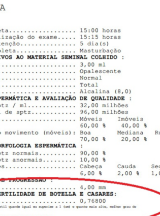 Ligeiramente Grávida(o) – Pai da Alice