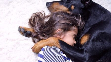 Pais registram amizade de filha com seu Dobermann