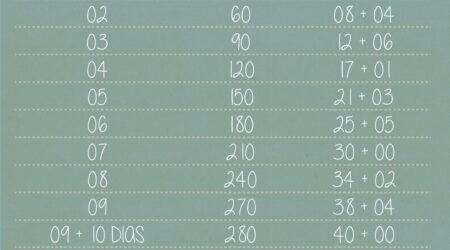 Como contar o tempo da gravidez em semanas?