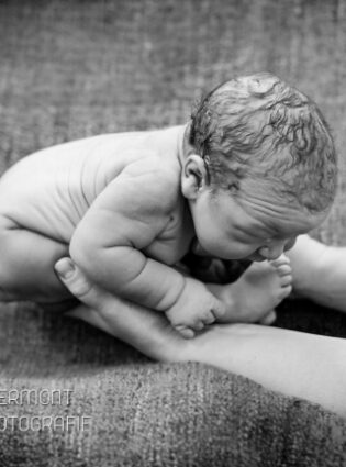 Fotos mostram como um bebê fica dentro da barriga