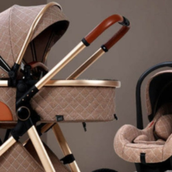 Qual é a diferença entre o moisés e o bebê conforto?