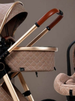 Qual é a diferença entre o moisés e o bebê conforto?