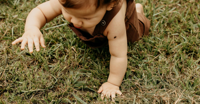 5 nomes de bebê inspirados na natureza, com origem e significado